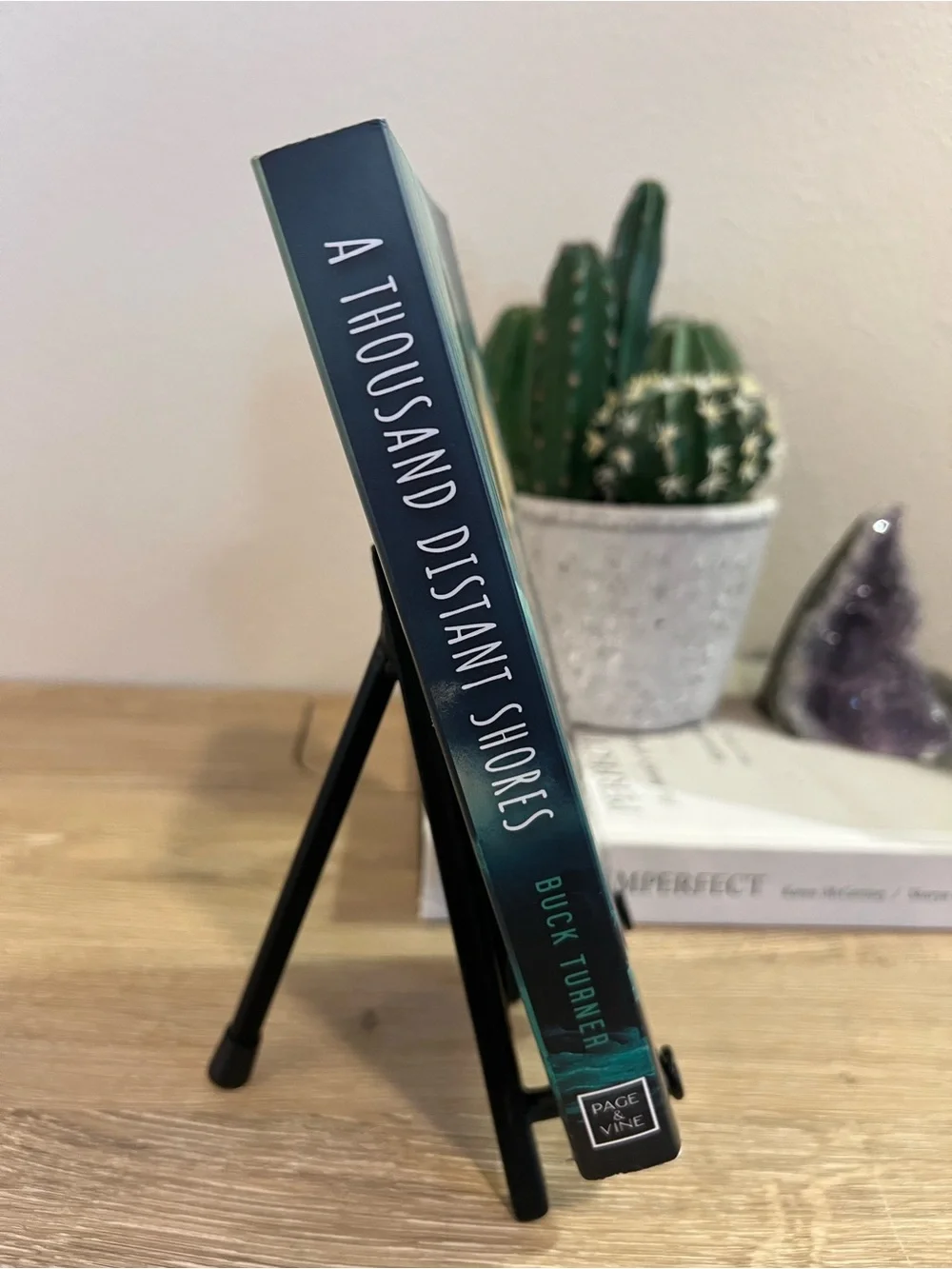 A Thousand Distant Shores Buck Turner Paperback 2025 Contemporary Romance